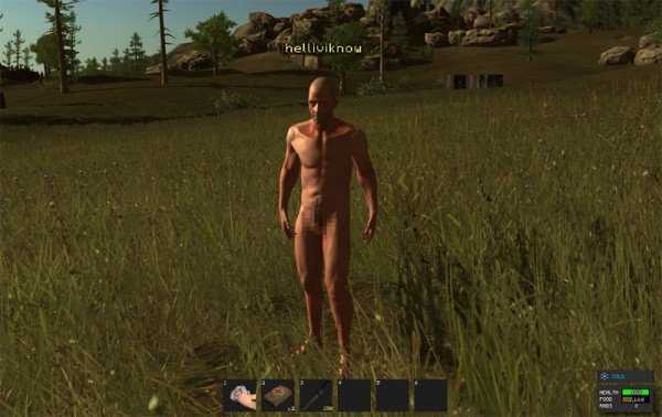 Игроки в Rust меряются размерами аппарата — фото 1