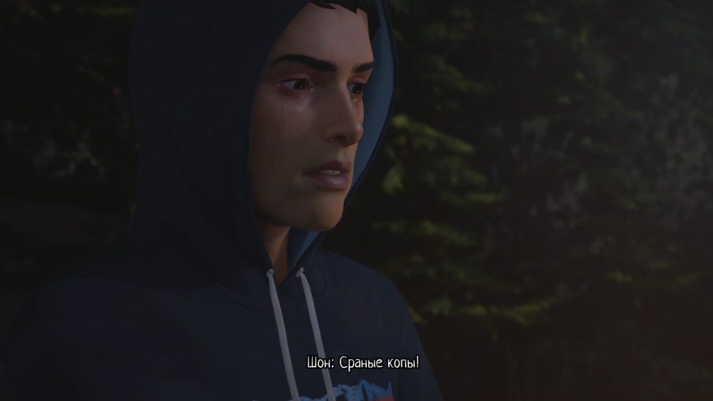 Life Is Strange 2: когда за вялыми политическими выкриками кроется полная творческая импотенция — фото 2