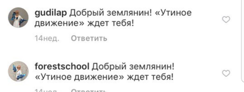 «Это гребаная тоталитарная секта»: косплееры боятся ехать к «Движению утят» в исландскую глушь — фото 1