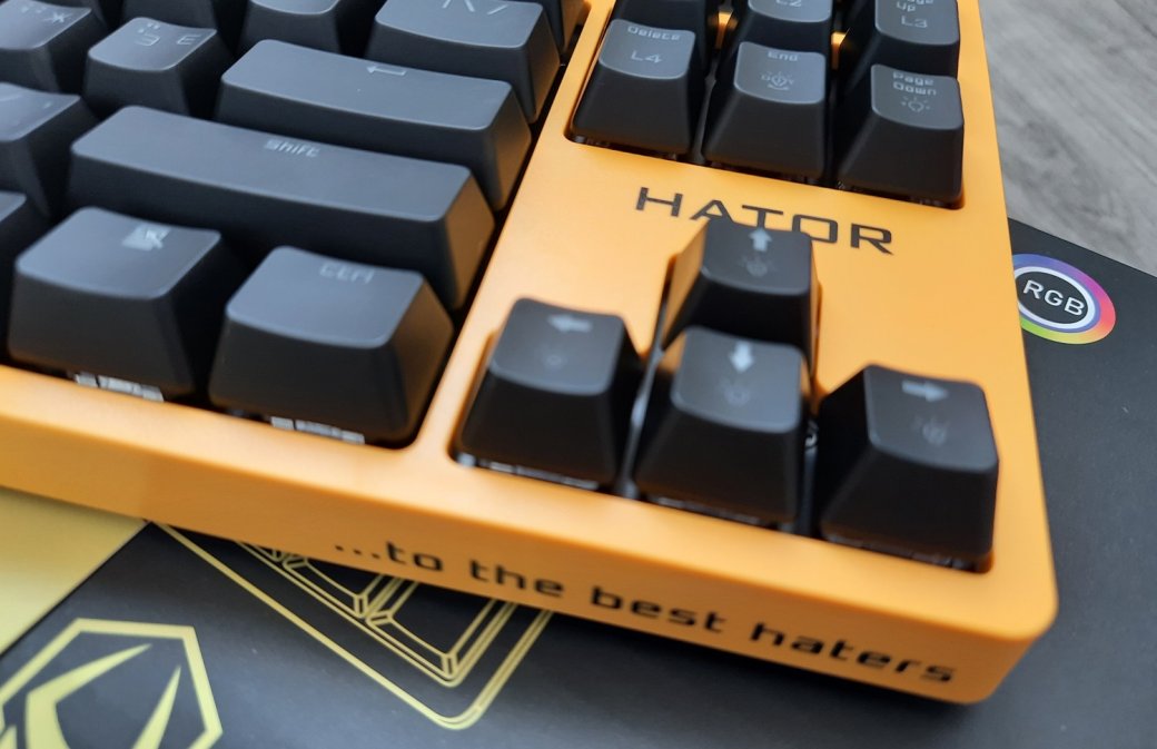 Обзор клавиатуры Hator Rockfall EVO TKL. Бюджетная оптическая клавиатура — фото 5