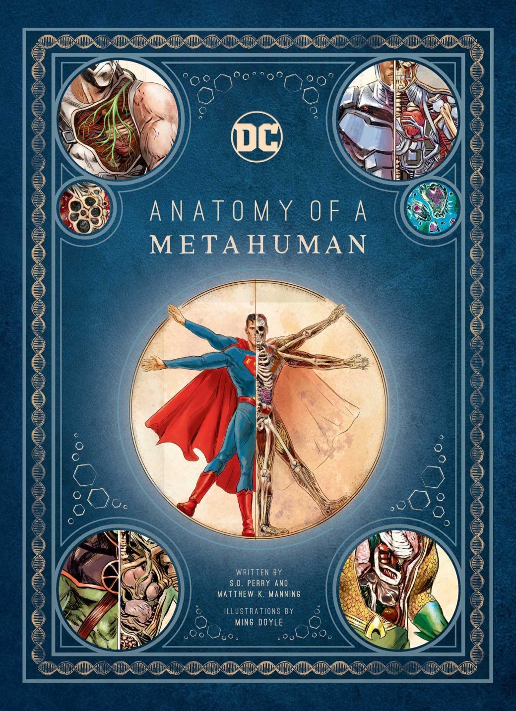 Галерея Анатомия супергероя: как устроен Супермен и другие металюди в комиксах DC? - 1 фото