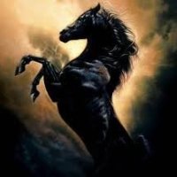 dark pony