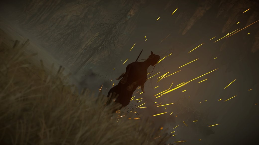20 изумительных скриншотов Shadow of the Colossus для PS4 — фото 6