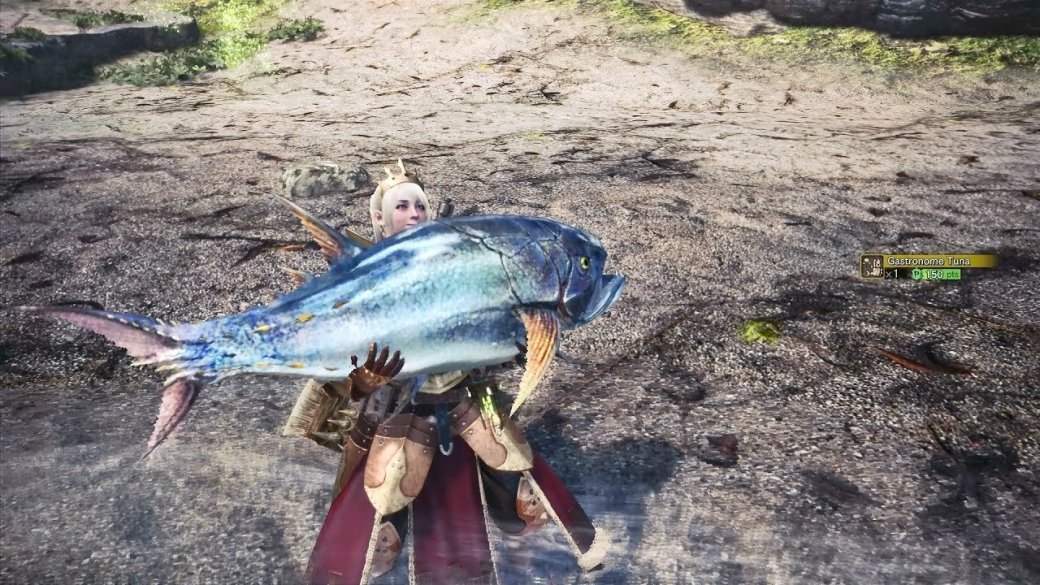 Гифка дня: не совсем удачная рыбалка в Monster Hunter World — фото 1