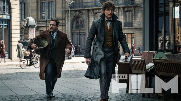 Новые подробности «Фантастических тварей 2»: арты, детали сюжета, актерский состав — фото 6