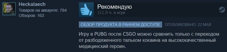 Золото Steam: отборные отзывы игроков о Рlayerunknownʼs Battlegrounds — фото 7