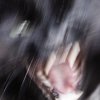 angry_black_cat