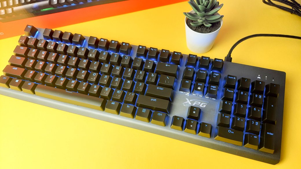 Обзор XPG Mage: игровая механическая клавиатура с RGB-подсветкой и съёмным кабелем — фото 10