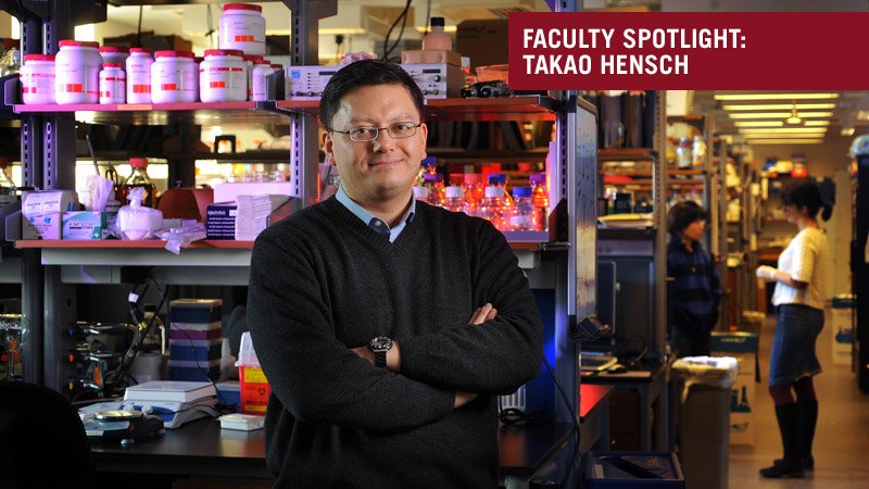 Такао Хенш. Источник изображения: harvard.edu
