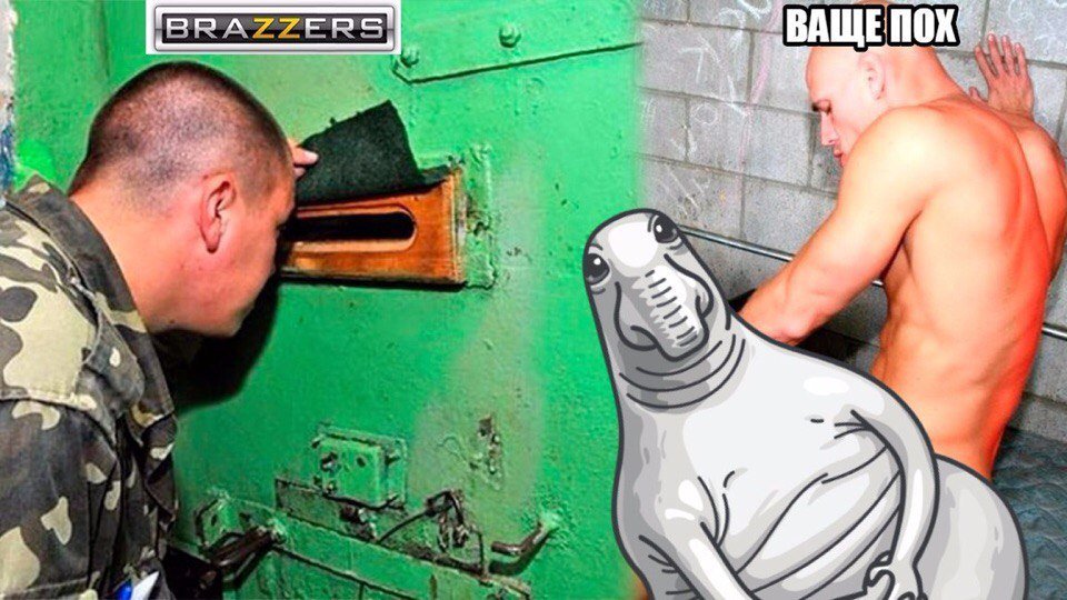 Лысый из Brazzers призвал выступить в защиту «видео про любовь» — фото 1