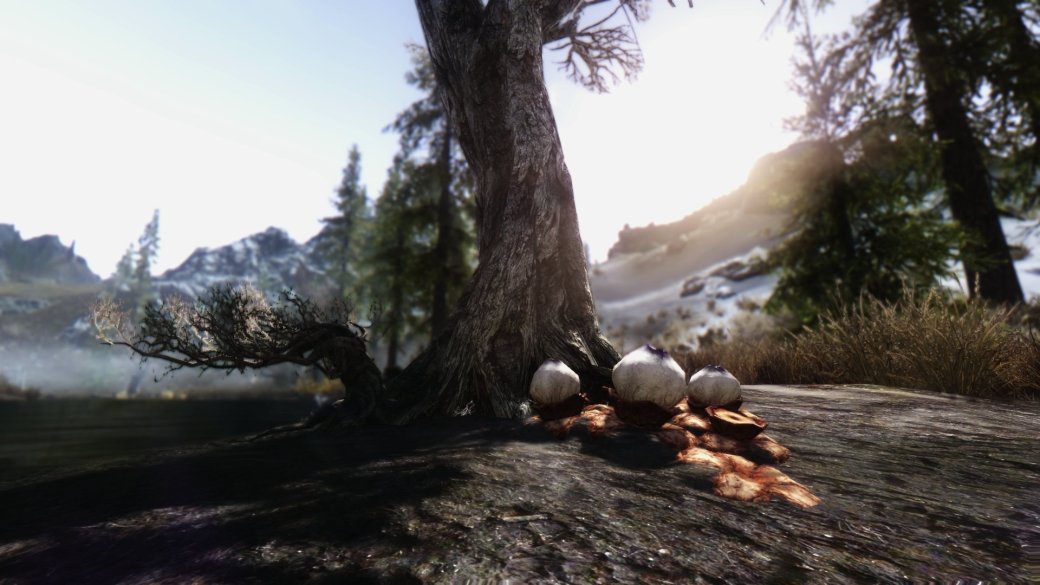 Одиннадцать лучших модов для Skyrim — изображение 5