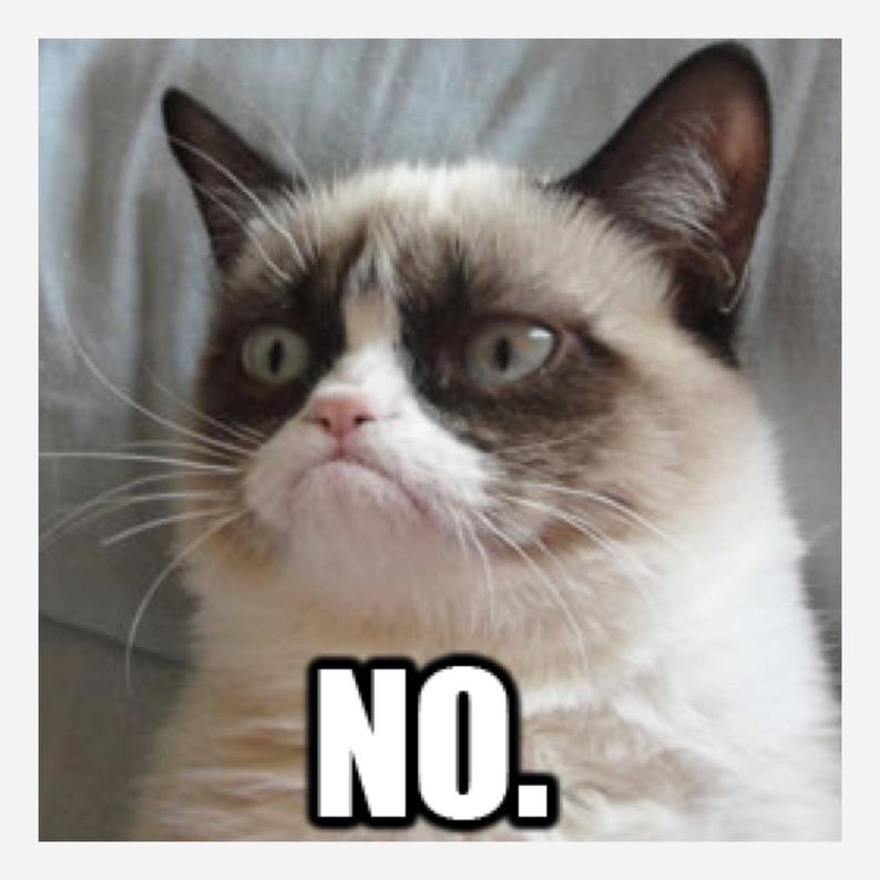 what gave grumpy cat's net worth - Ilustrasi 3