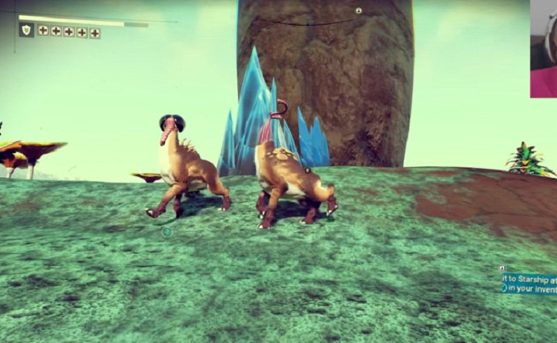 Почему в No Man's Sky все похоже на члены? — фото 4