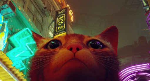 В Digital Foundry сравнили игру про котика Stray на PlayStation 5 и Xbox Series