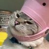 Саша Барсукова Саша Барсукова