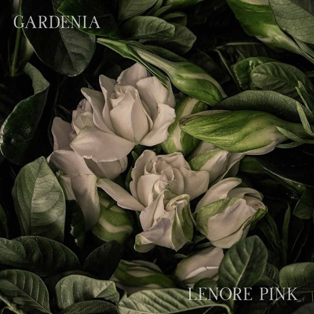Обложка сингла Gardenia
Источник: Distrokid