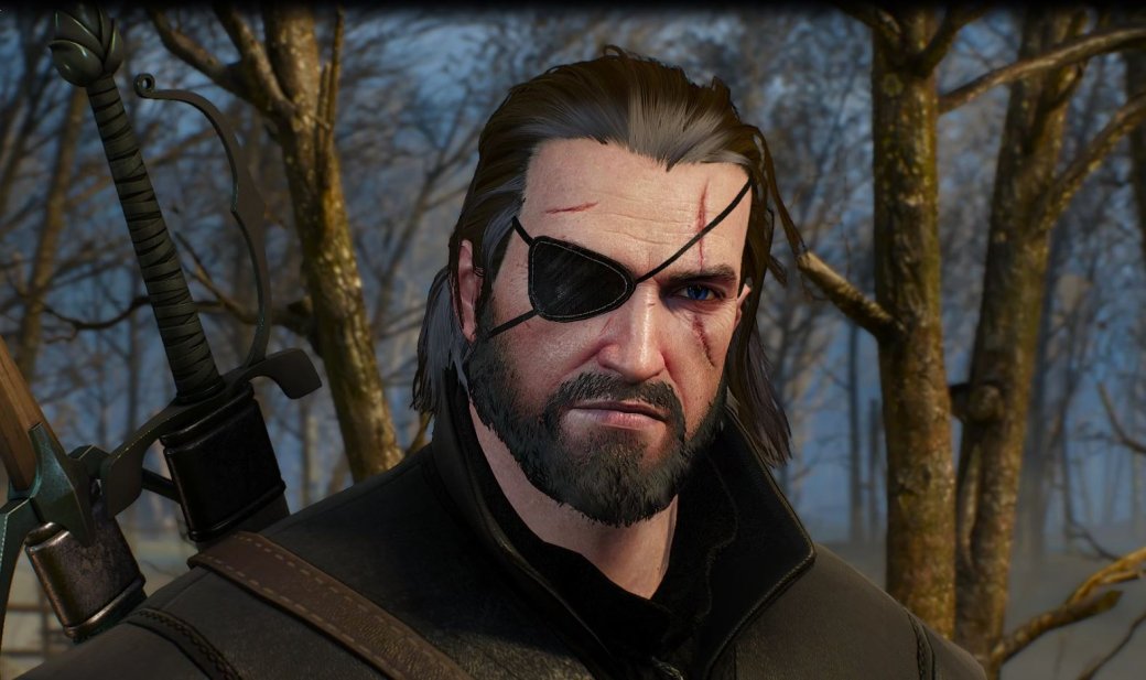 5 модов для The Witcher 3: Wild Hunt, «убивающих» книжный канон — фото 3