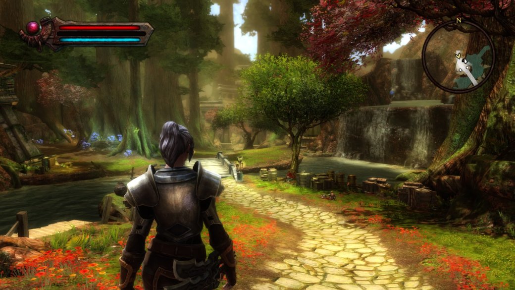 Галерея По полкам: Обзор Kingdoms of Amalur: Re-Reckoning — ремастера RPG от дизайнера Morrowind и Oblivion - 2 фото