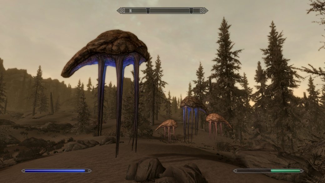 Как TES 5: Skyrim выглядит и работает на Nintendo Switch? Отвечаем скриншотами и гифками — фото 16