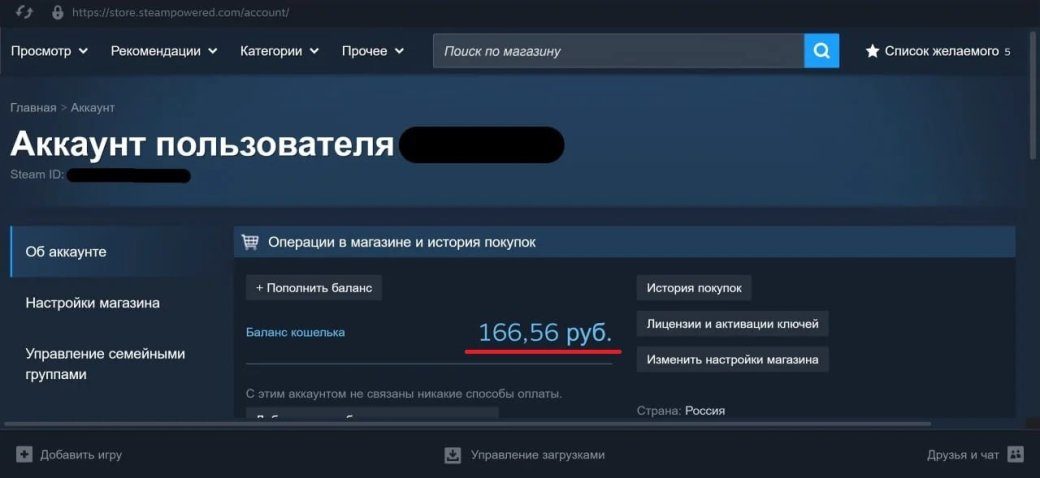 Как пополнить Steam без комиссии в 2026 году: что влияет на итоговую стоимость — фото 4