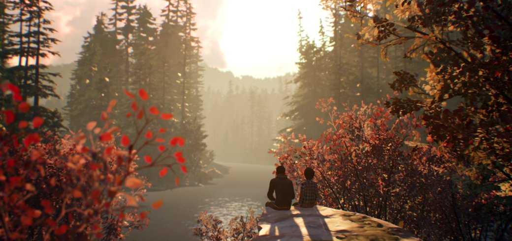 Gamescom 2018. Первый геймплей Life is Strange 2 — что мы узнали об игре? — фото 2