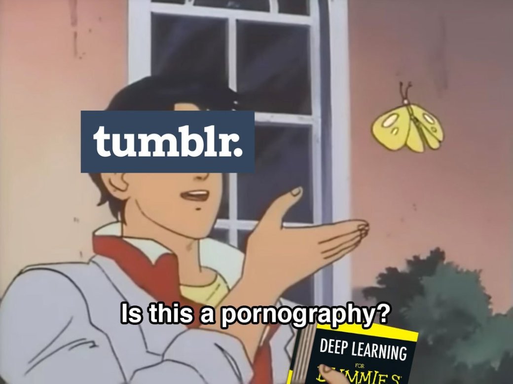 Соцсеть Tumblr запретила весь контент для взрослых. Под удар попали даже самые невинные картинки — фото 1