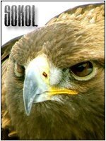 SOKOL