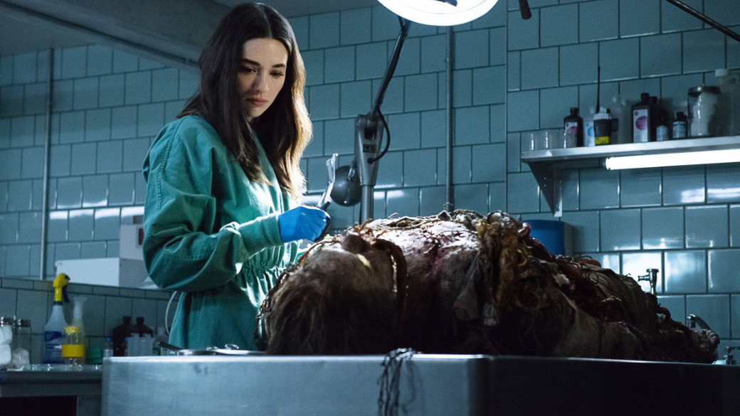 Первые впечатления от сериала «Болотная тварь»: настоящий хоррор от потокового сервиса DC Universe — фото 1