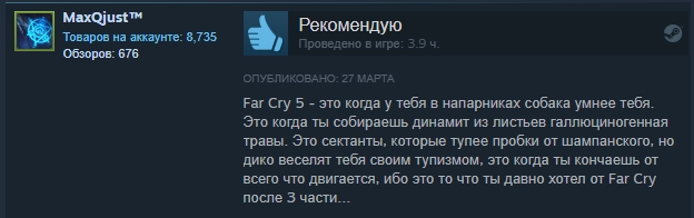 «Заслуживает своих денег»: отзывы пользователей Steam о Far Cry 5 — фото 9
