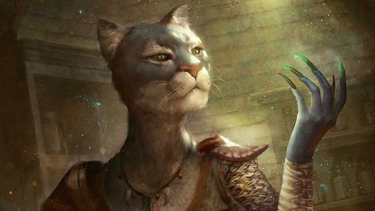 Hearthstone от Bethesda не совсем Hearthstone — фото 2