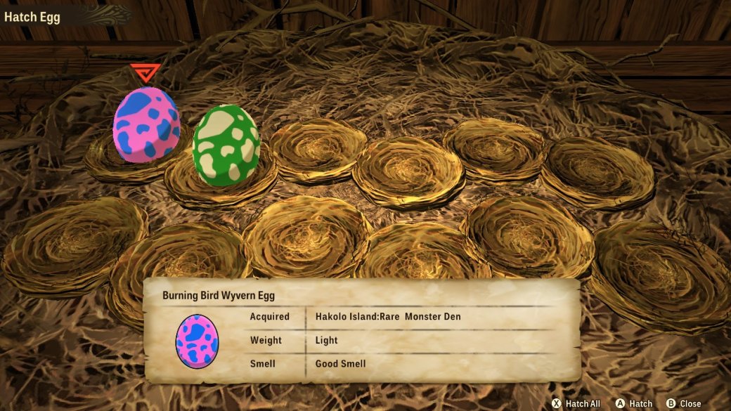 Гайд. Как искать редкие яйца в Monster Hunter Stories 2: Wings of Ruin — фото 1