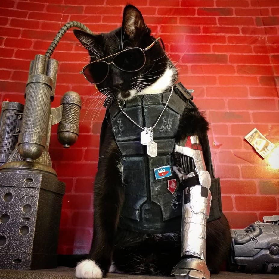 Cyberpunk 2077 кошка