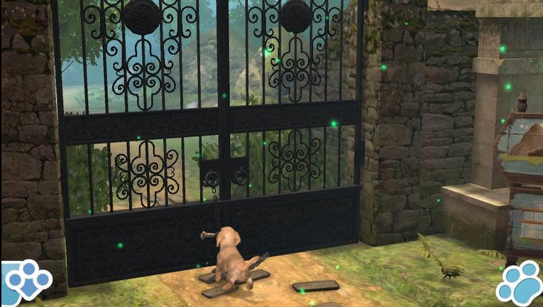 Галерея Обладателям PS Vita предложат воспитывать виртуальных собак в июне - 5 фото