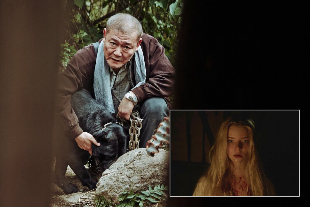 «Вопль» vs. «Ведьма»
Источник: 20th Century Fox / A24