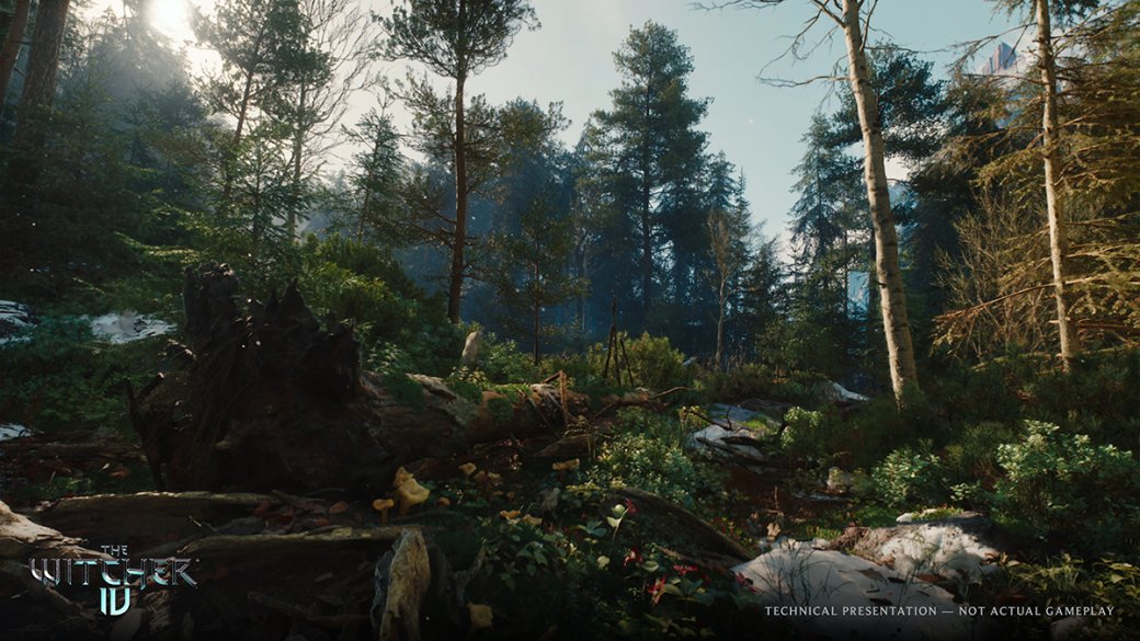 CD Projekt Red показала техническое демо и геймплей The Witcher 4 — изображение 3