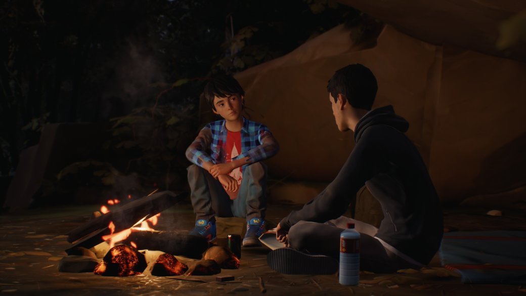 Мнение о первом эпизоде Life is Strange 2. Идеальный геймплей и спорный сценарий — фото 4