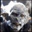 fredy_K