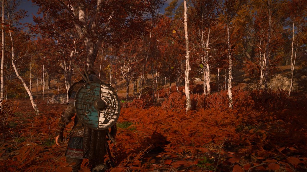 Рецензия на Assassin’s Creed: Valhalla — фото 5