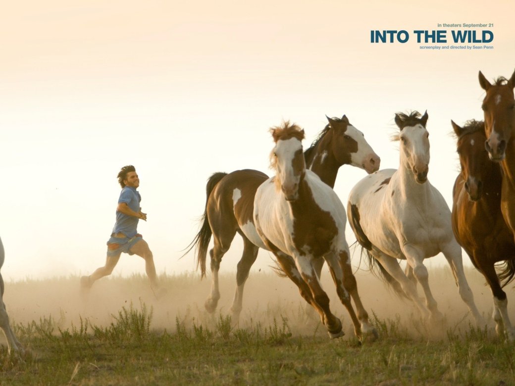 «Везде как дома», Mirror's Edge, «В диких условиях», iZombie, Moon Knight — фото 2