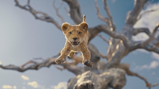 Появился новый кадр из мультфильма «Муфаса: Король Лев»