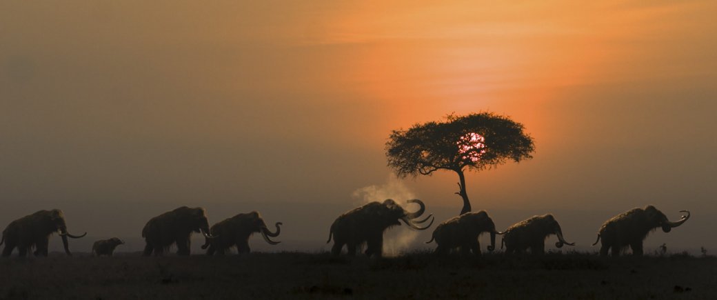 Короткая рецензия на «Альфу» — фото 3