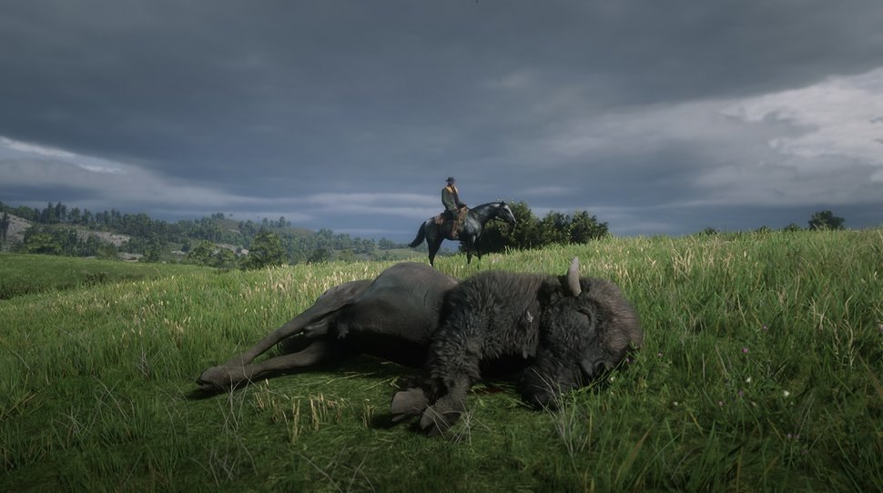 Гайд. Советы по охоте в Red Dead Redemption 2 — фото 4