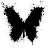artem_salder