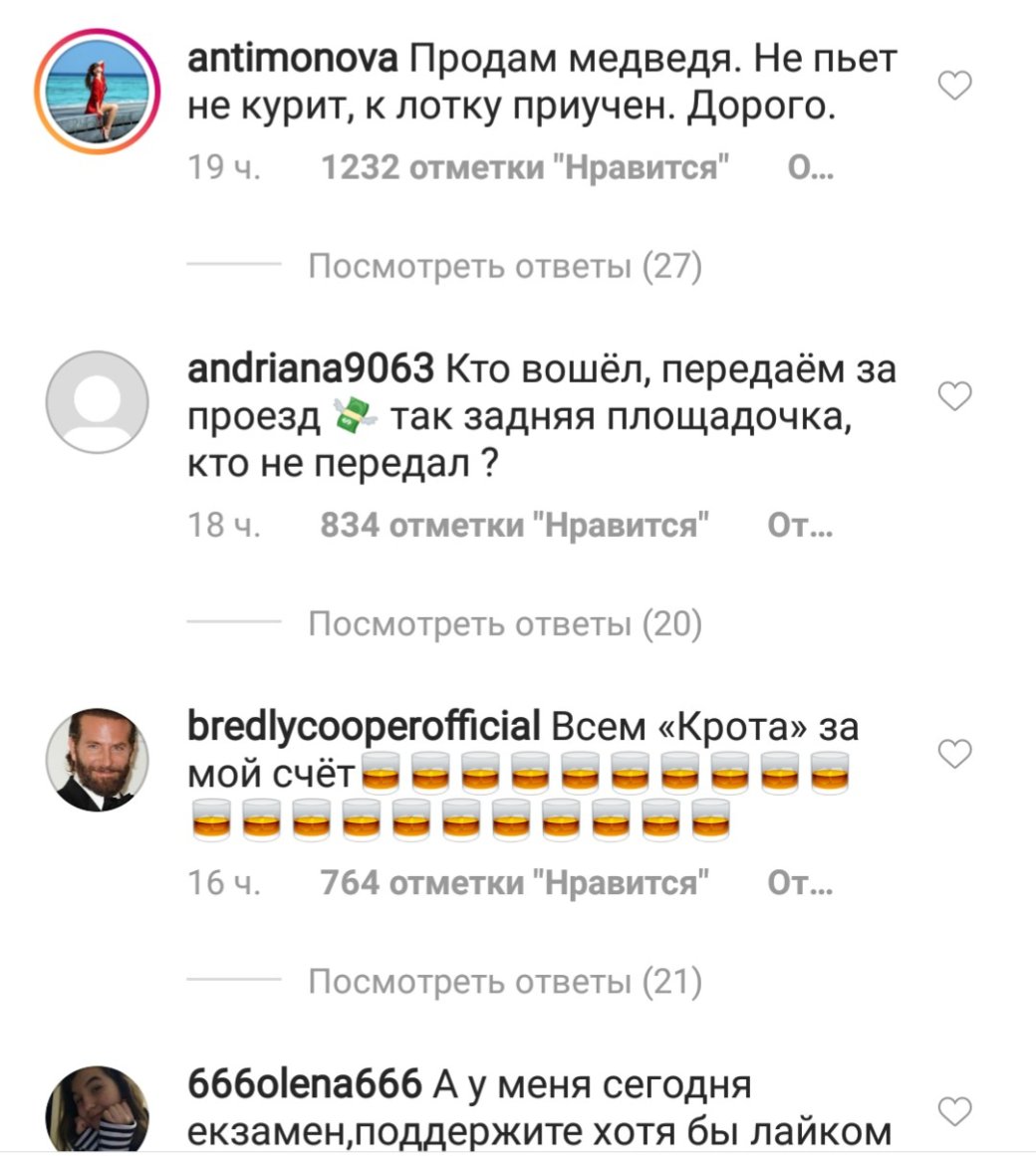 «Продам медведя. Не пьет»: как русские устроили трэш и ад в Instagram-комментариях Леди Гаги — фото 5