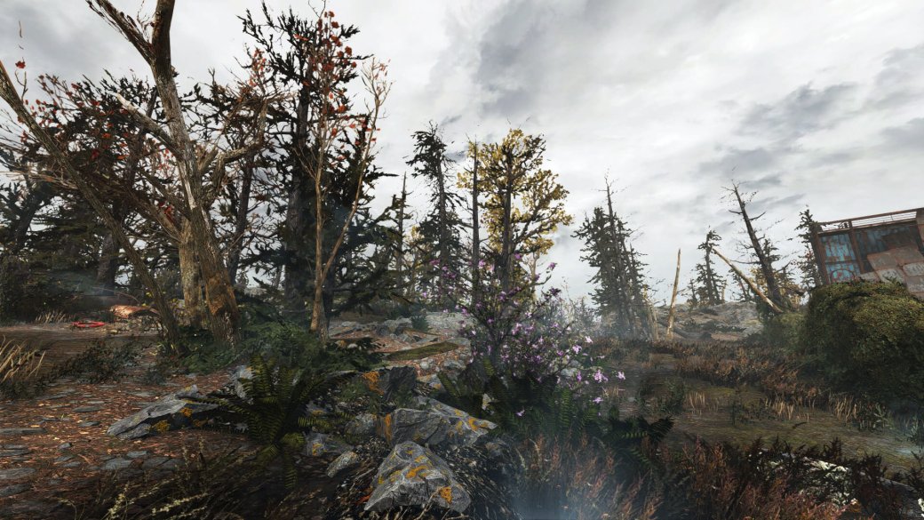 Галерея Фанат Fallout 4 добавил в игру 18 тысяч деревьев с помощью экологического мода - 4 фото