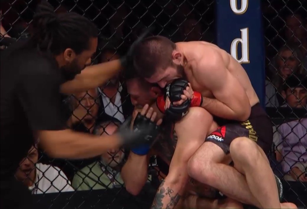 Бой века? Хабиб Нурмагомедов отстоял титул чемпиона UFC, победив Конора Макгрегора — фото 1