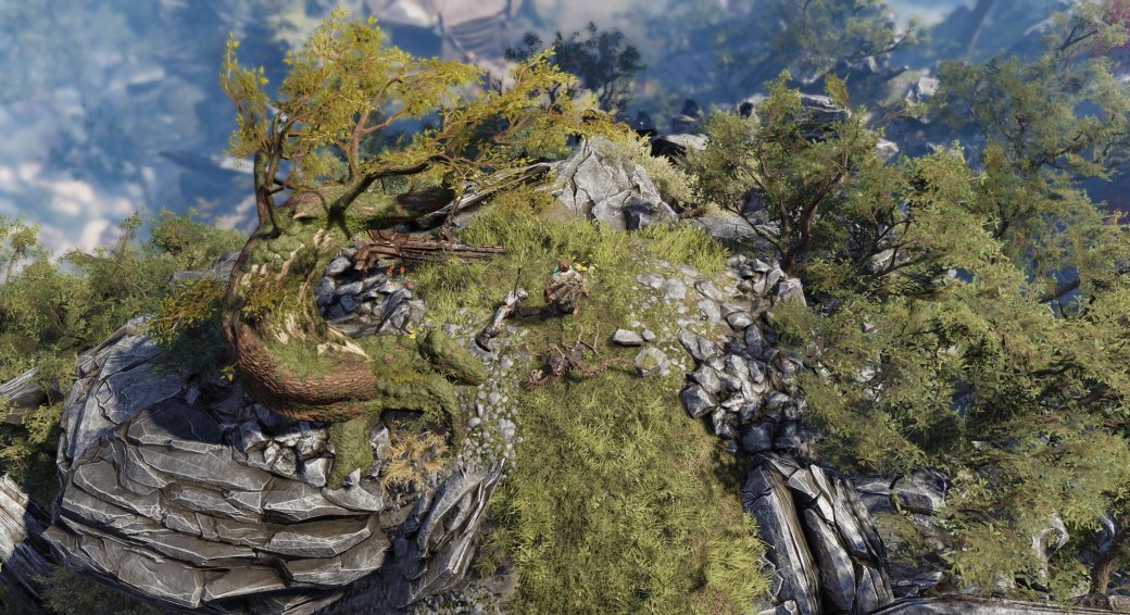 Ранний доступ Divinity: Original Sin 2. Первые впечатления — фото 10