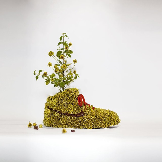 Галерея Художник объединяет предметы с растениями. Получаются крутые инсталляции - 12 фото