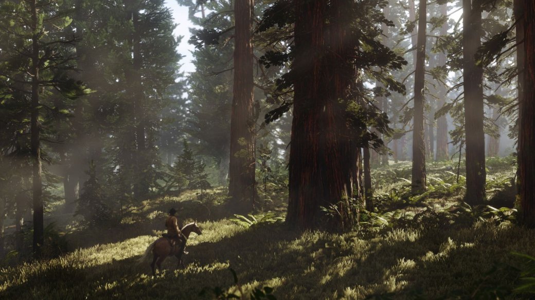 Гайд. Советы по охоте в Red Dead Redemption 2 — фото 1