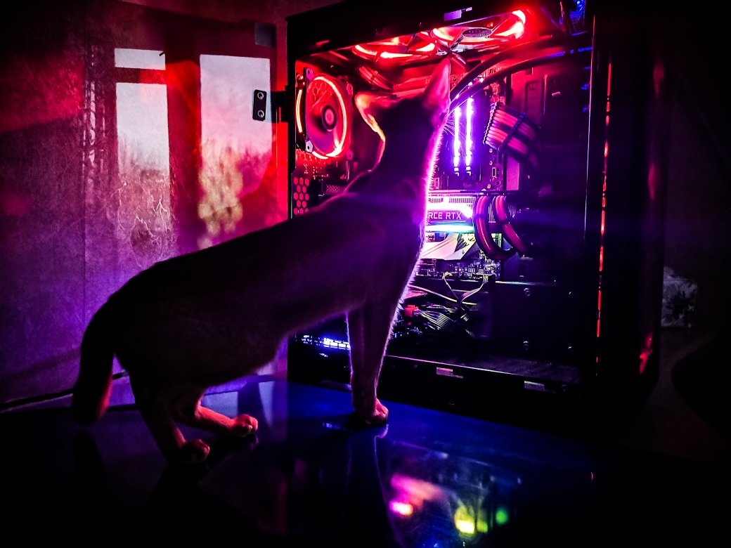 Тестируем трассировку лучей в Battlefield V на MSI GeForce RTX 2080 Gaming X Trio — фото 3